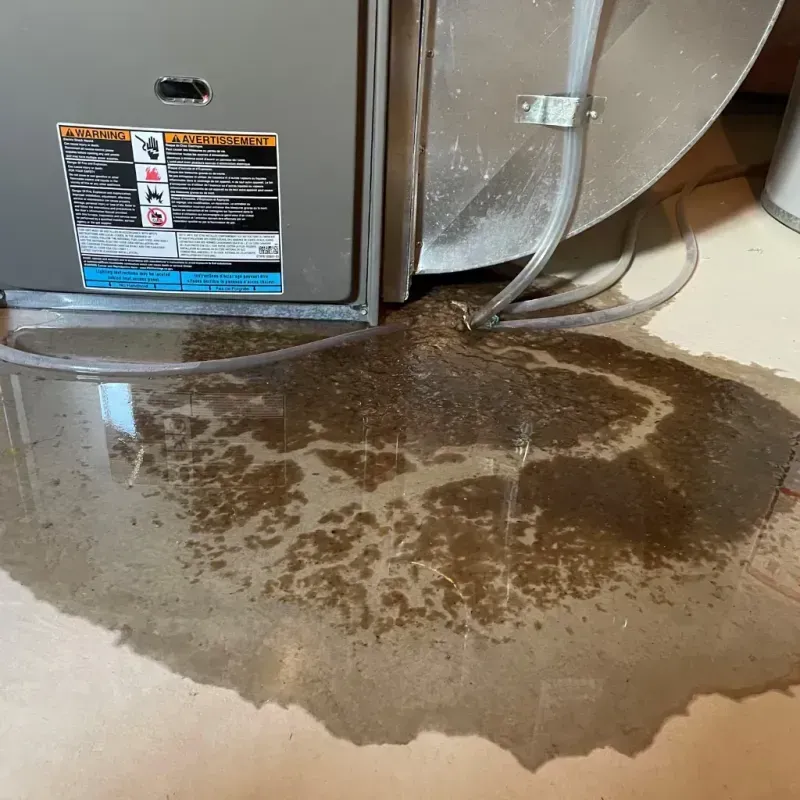 Appliance Leak Cleanup in Tompkins County, NY